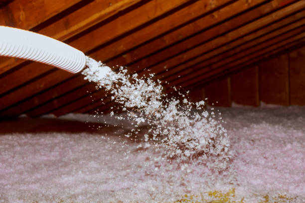 Best DIY Insulation Kits and Guidance in Colwyn, PA