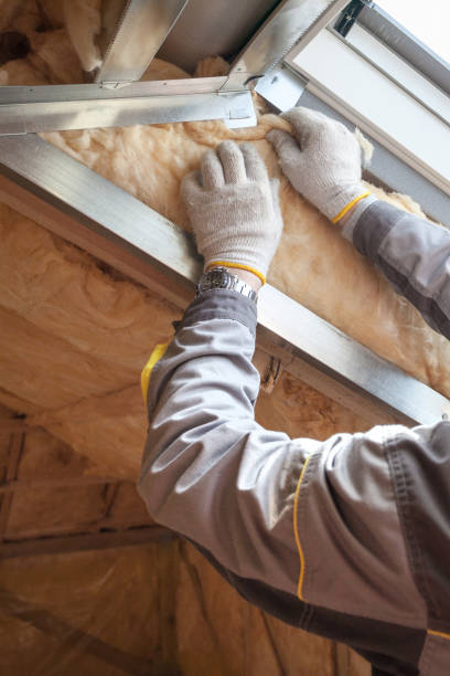 Professional Insulation Contractor in Colwyn, PA