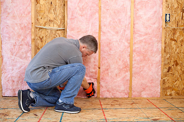 Types of Insulation We Offer in Colwyn, PA